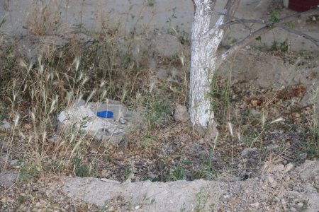 Полив по факту: Исполнение графика полива в Актау 11 июня