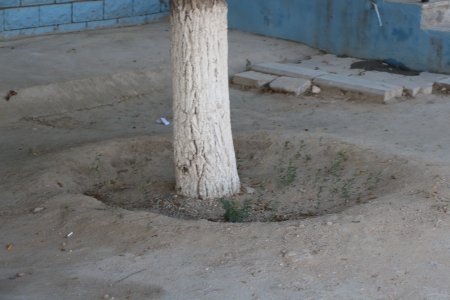 Полив по факту: Исполнение графика полива в Актау 11 июня