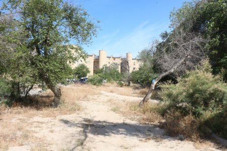 Полив по факту: Исполнение графика полива в Актау 11 июня