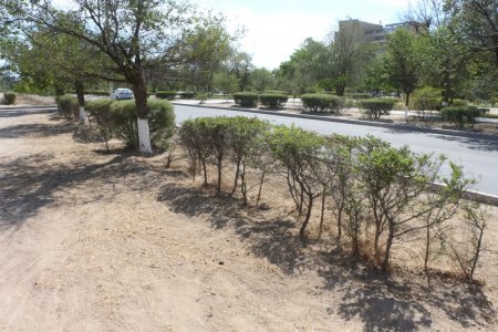 Полив по факту: Исполнение графика полива в Актау 11 июня