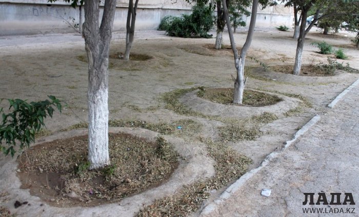 Полив по факту: Исполнение графика полива в Актау 12 июня