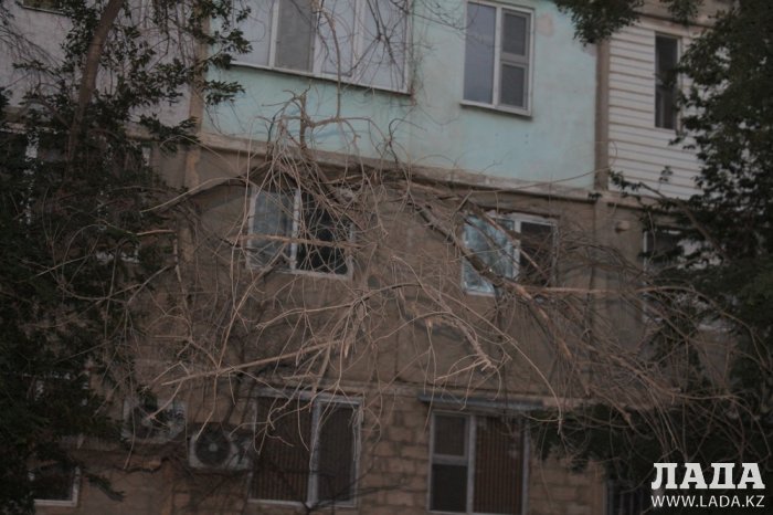 Полив по факту: Исполнение графика полива в Актау 12 июня