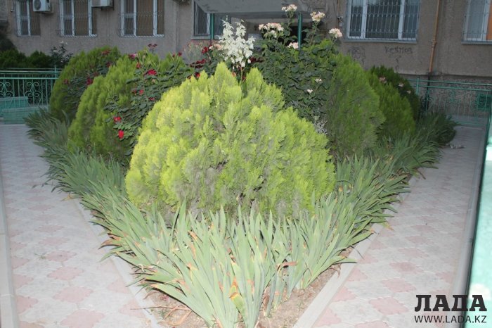 Полив по факту: Исполнение графика полива в Актау 12 июня