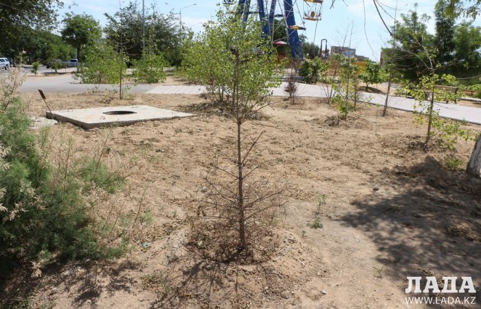 Как происходит полив в парке «Акбота» Актау. Фоторепортаж