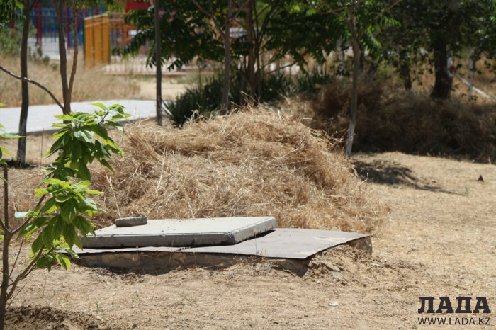 Как происходит полив в парке «Акбота» Актау. Фоторепортаж