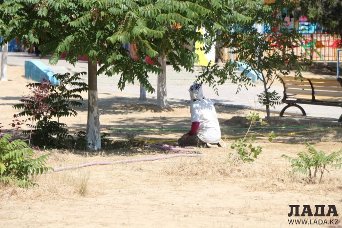 Как происходит полив в парке «Акбота» Актау. Фоторепортаж