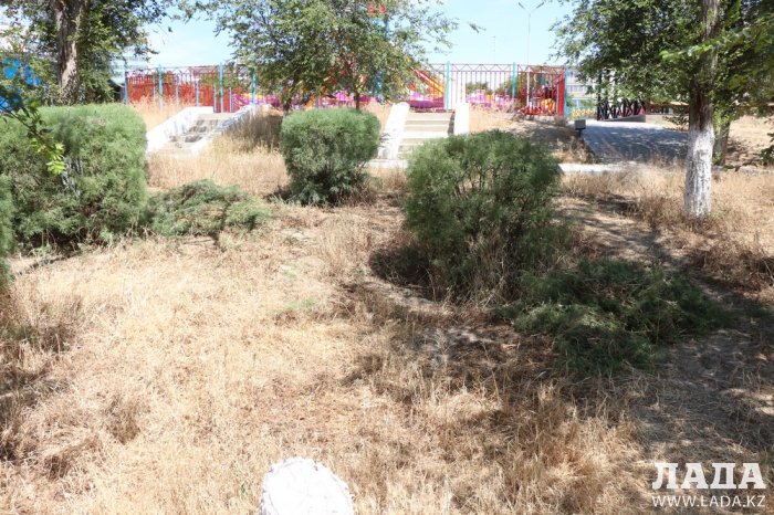 Как происходит полив в парке «Акбота» Актау. Фоторепортаж