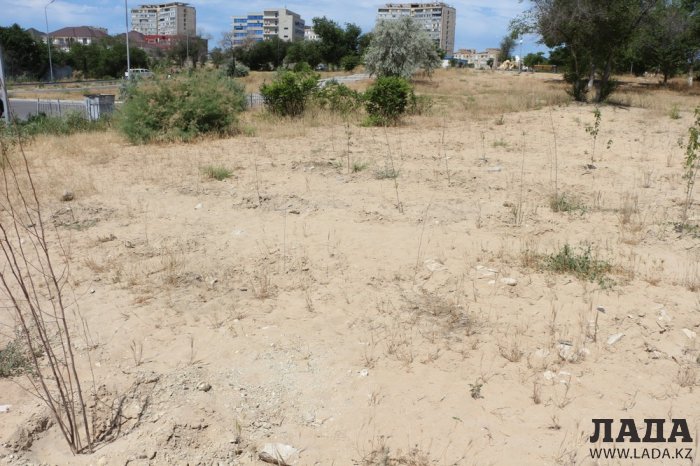 Как происходит полив в парке «Акбота» Актау. Фоторепортаж