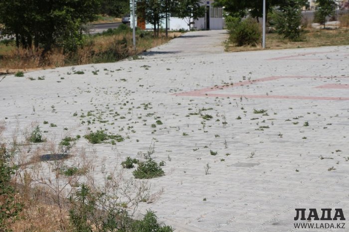 Как происходит полив в парке «Акбота» Актау. Фоторепортаж