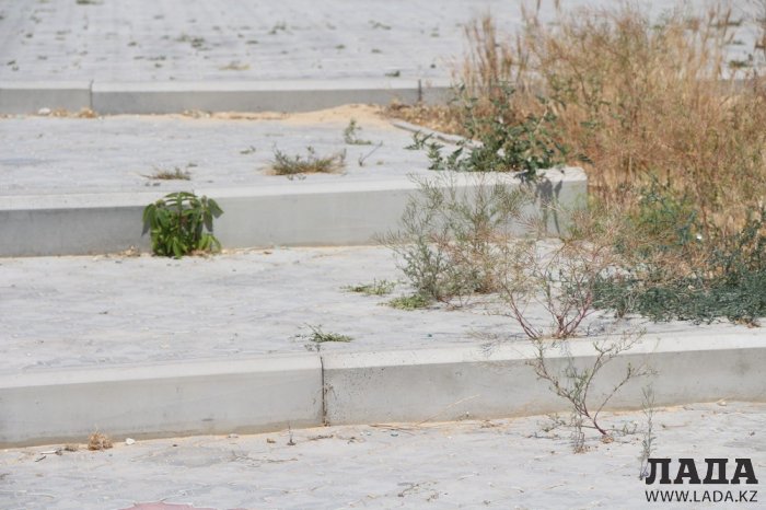 Как происходит полив в парке «Акбота» Актау. Фоторепортаж