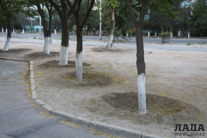 Полив по факту: Исполнение графика полива в Актау 13 июня