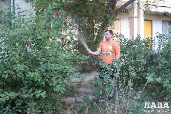 Полив по факту: Исполнение графика полива в Актау 13 июня