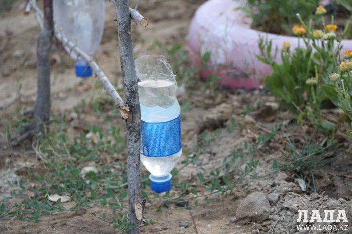 Полив по факту: Исполнение графика полива в Актау 13 июня