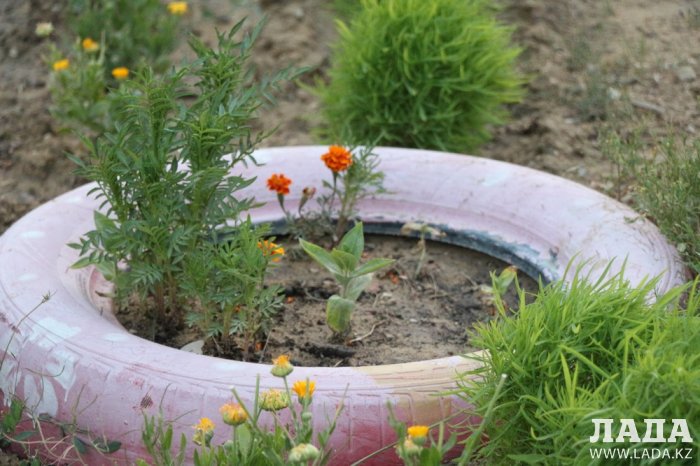 Полив по факту: Исполнение графика полива в Актау 13 июня