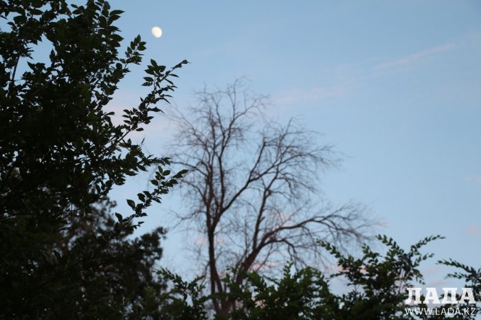 Полив по факту: Исполнение графика полива в Актау 13 июня