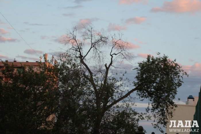 Полив по факту: Исполнение графика полива в Актау 13 июня