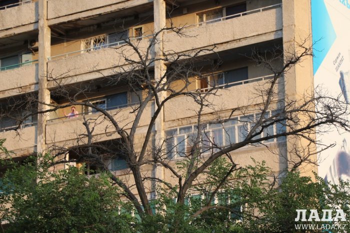 Полив по факту: Исполнение графика полива в Актау 13 июня