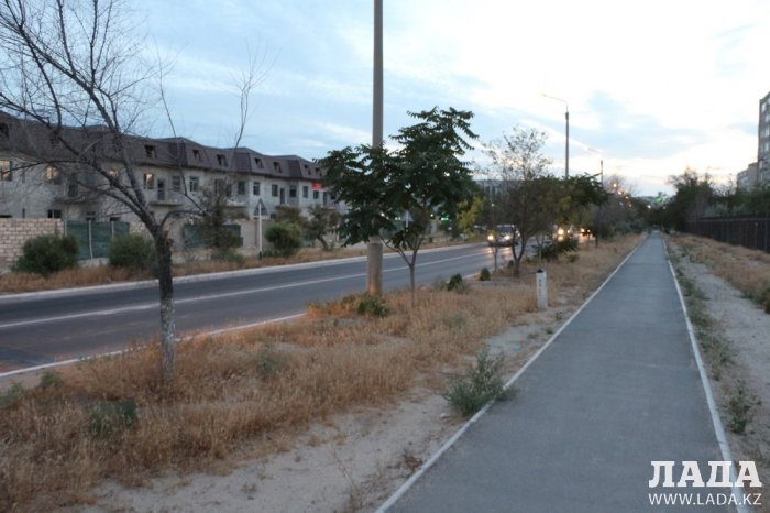 Полив по факту: Исполнение графика полива в Актау 13 июня