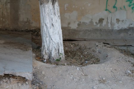 Полив по факту: Исполнение графика полива в Актау 13 июня