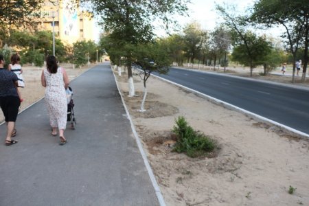 Полив по факту: Исполнение графика полива в Актау 13 июня