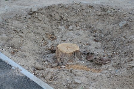 Полив по факту: Исполнение графика полива в Актау 13 июня