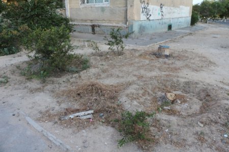 Полив по факту: Исполнение графика полива в Актау 13 июня