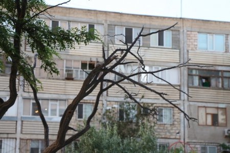 Полив по факту: Исполнение графика полива в Актау 13 июня