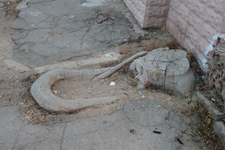 Полив по факту: Исполнение графика полива в Актау 13 июня