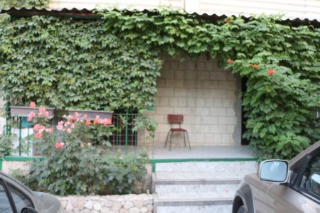 Полив по факту: Исполнение графика полива в Актау 13 июня