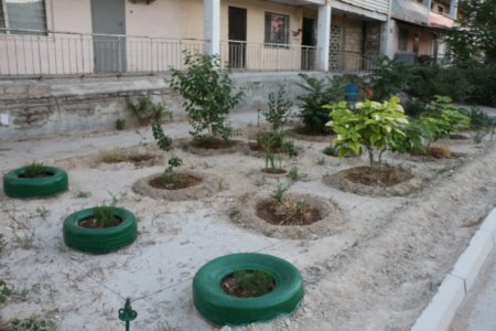 Полив по факту: Исполнение графика полива в Актау 13 июня