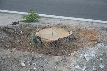 Полив по факту: Исполнение графика полива в Актау 13 июня