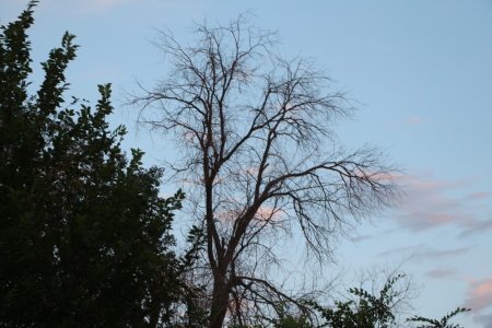 Полив по факту: Исполнение графика полива в Актау 13 июня