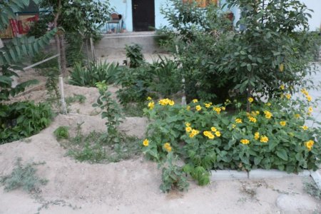 Полив по факту: Исполнение графика полива в Актау 13 июня