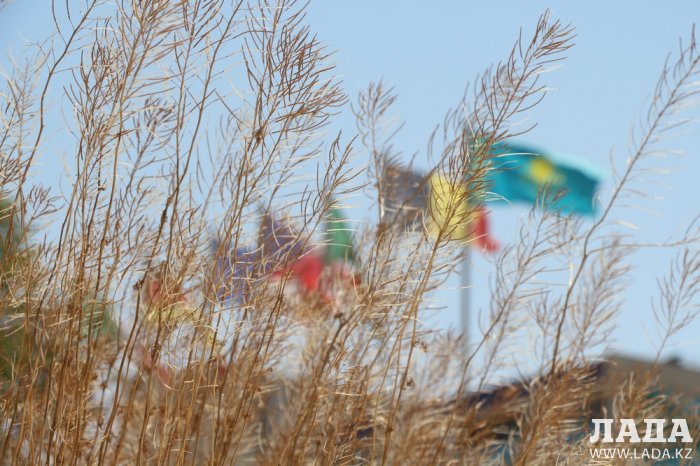 На спуске в 4 микрорайоне Актау высыхают цветы