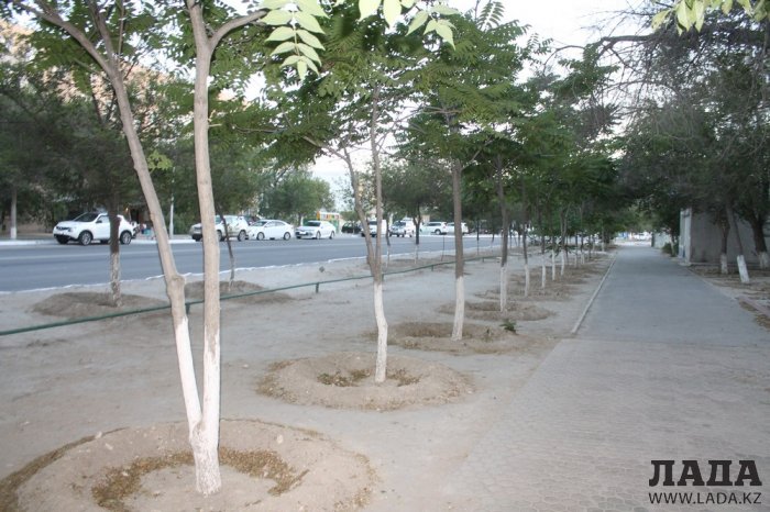 Полив по факту: Исполнение графика в Актау 14 июня