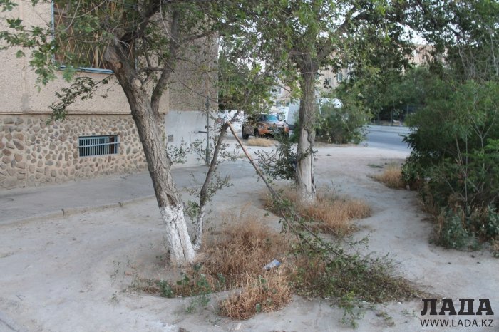 Полив по факту: Исполнение графика в Актау 14 июня