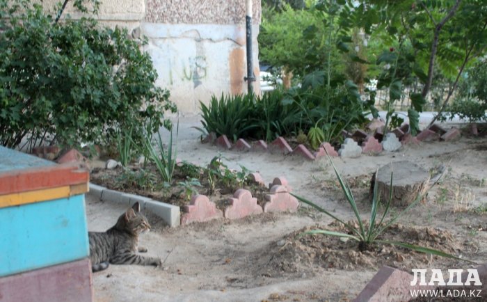 Полив по факту: Исполнение графика в Актау 14 июня