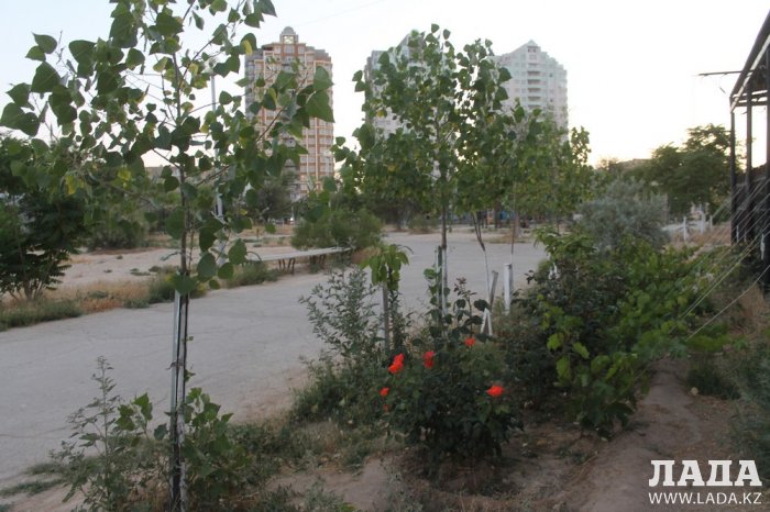 Полив по факту: Исполнение графика в Актау 14 июня