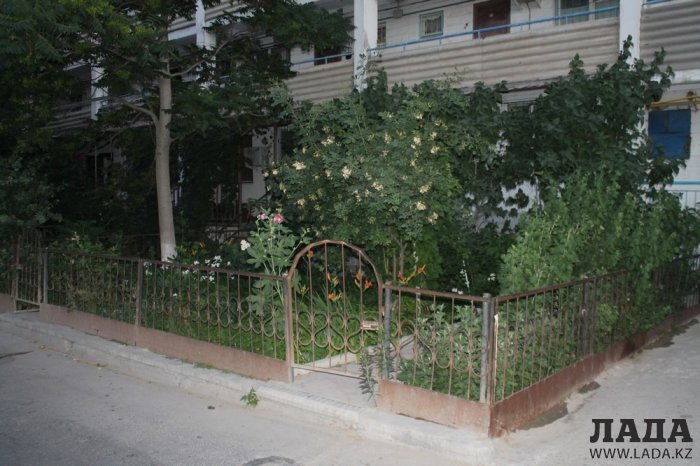 Полив по факту: Исполнение графика в Актау 14 июня