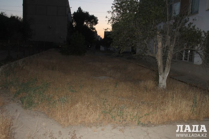 Полив по факту: Исполнение графика в Актау 14 июня