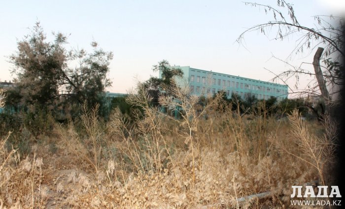 Полив по факту: Исполнение графика в Актау 14 июня