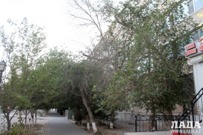 Полив по факту: Исполнение графика в Актау 14 июня