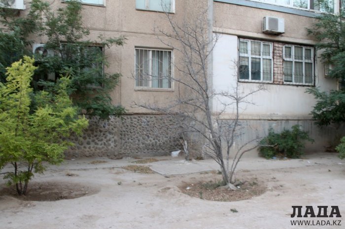 Полив по факту: Исполнение графика в Актау 14 июня