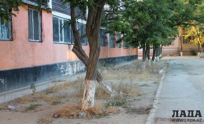 Полив по факту: Исполнение графика в Актау 15 июня