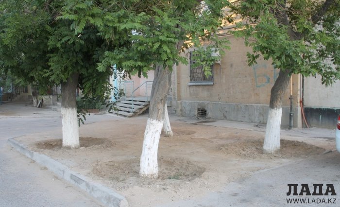 Полив по факту: Исполнение графика в Актау 15 июня