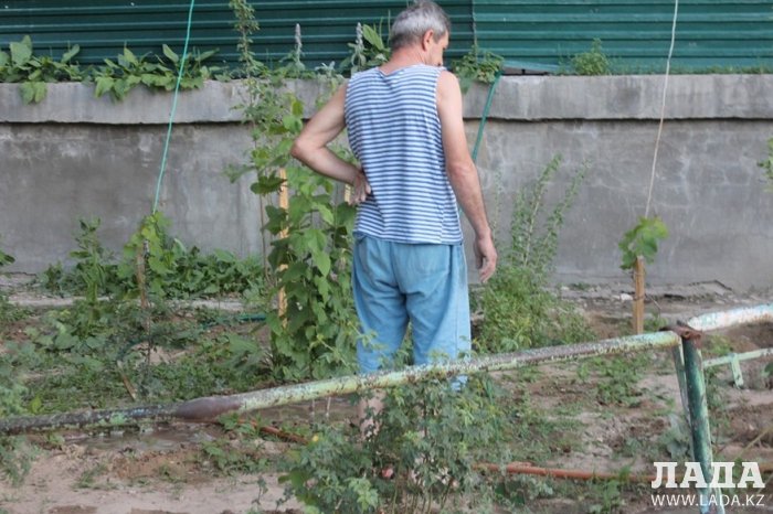 Полив по факту: Исполнение графика в Актау 15 июня