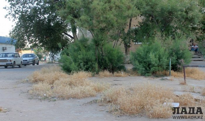 Полив по факту: Исполнение графика в Актау 15 июня