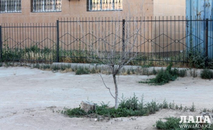 Полив по факту: Исполнение графика в Актау 15 июня