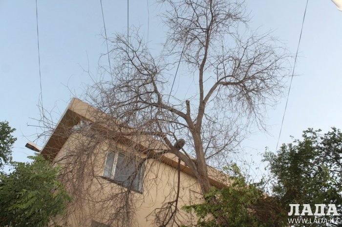 Полив по факту: Исполнение графика в Актау 15 июня