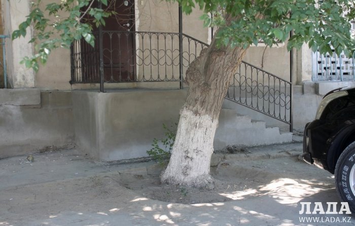 ТОО «РЭП» не произвело полив по указанному в графике адресу в 5 микрорайоне Актау